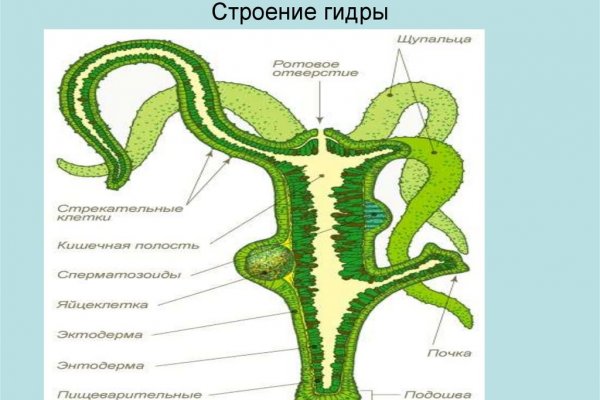 Кракен наркоплощадка